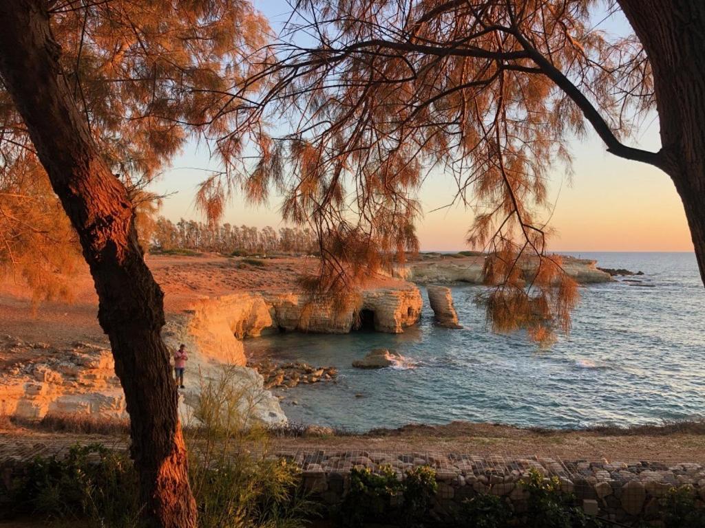 Cozy Apartment In Paphos Beautiful Complex Екстериор снимка